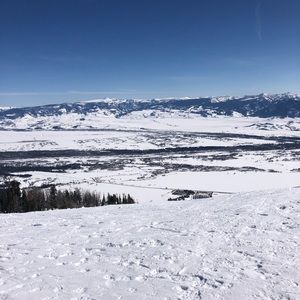 Meet your Posher, Maggie